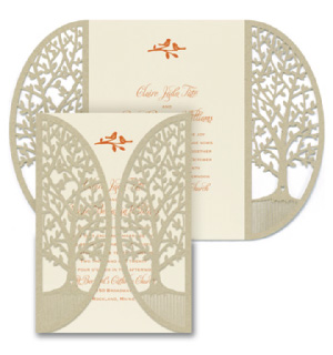 Custom Printed Wedding, Graudation, Shower, Party Invitations by Jessica's Balloons in Arvada, Colorado